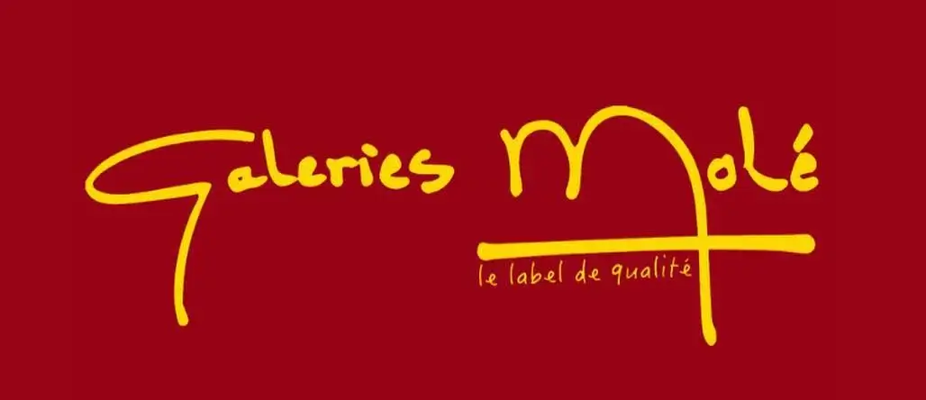 Logo Galeries Molé